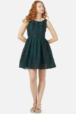 Brunello Dress
