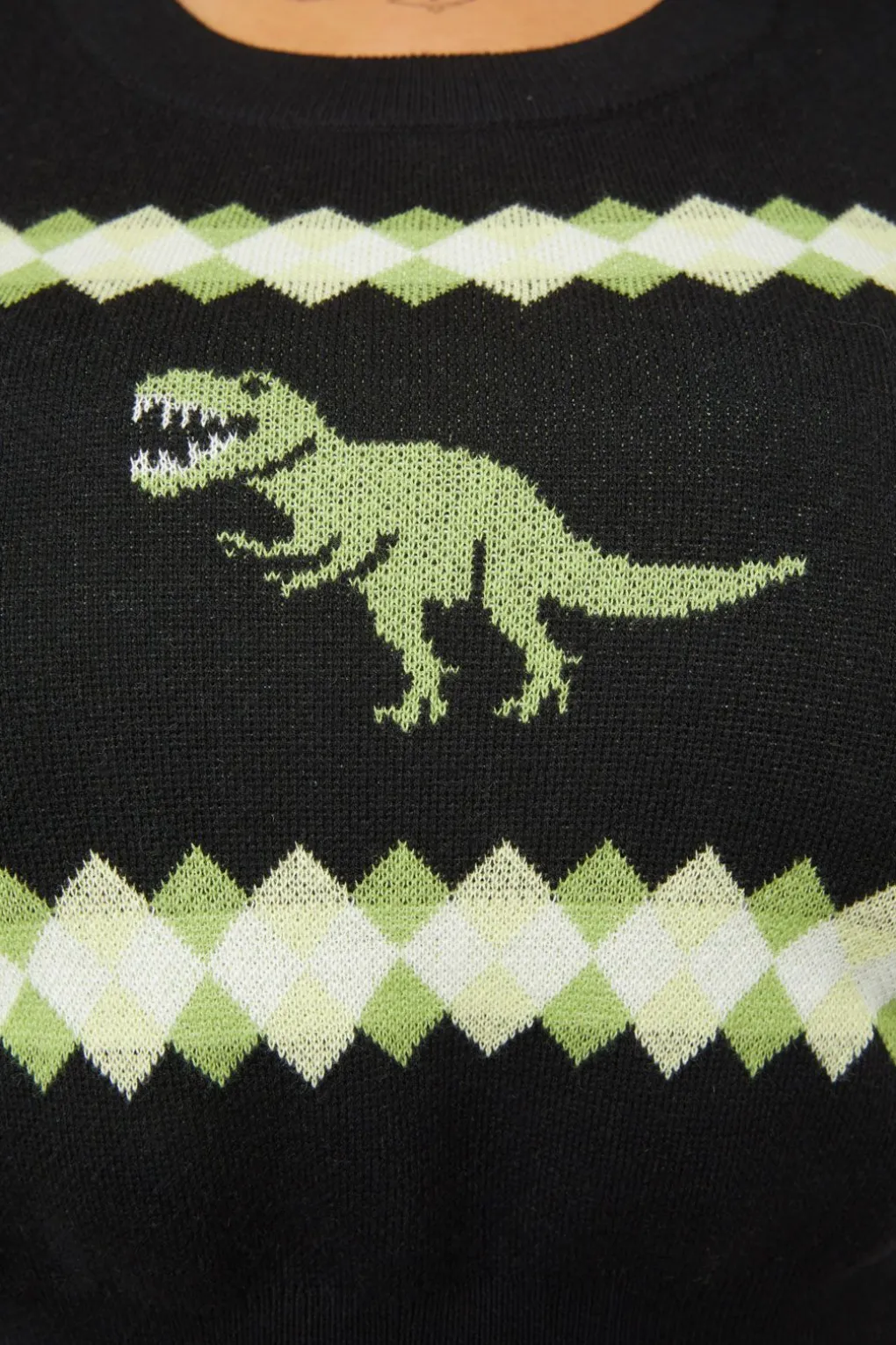 Curve Dino Argyle Knit Jumper