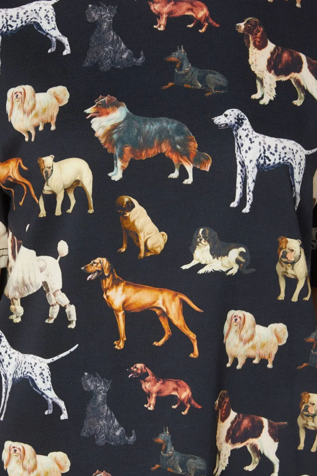 Doggo Boxy T Shirt Dress