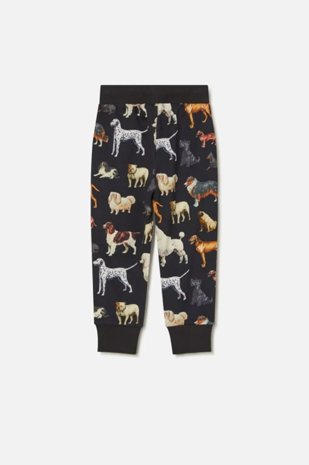 Doggo Kids Trakkie Pant