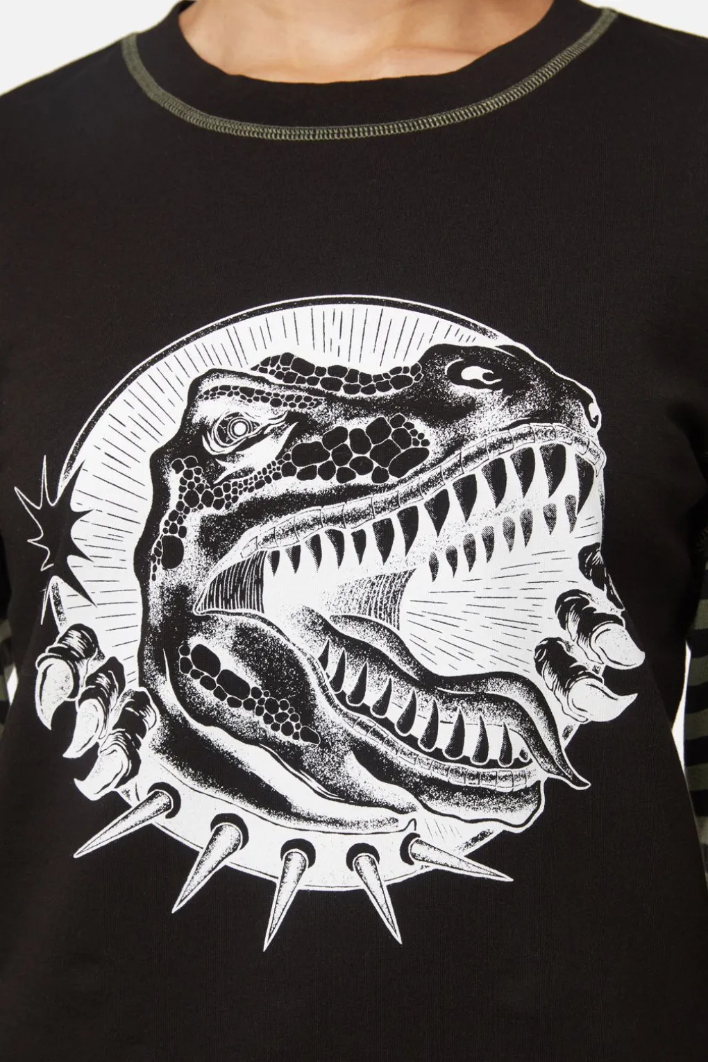 Early Jurassic Contrast Ls Top