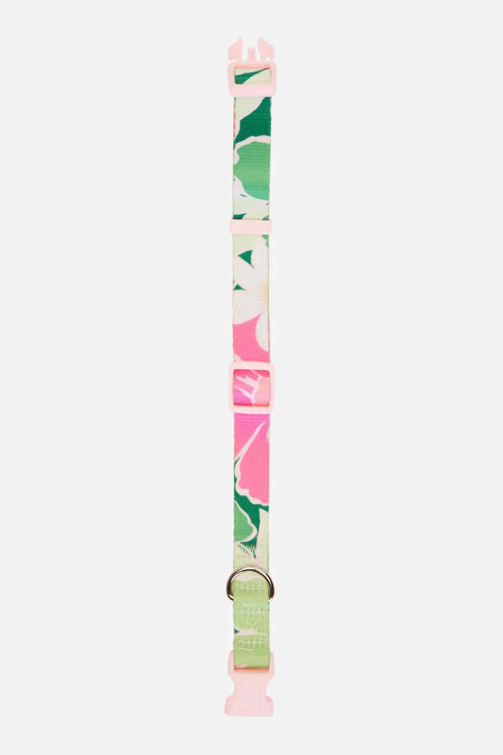 Edie Dog Collar M