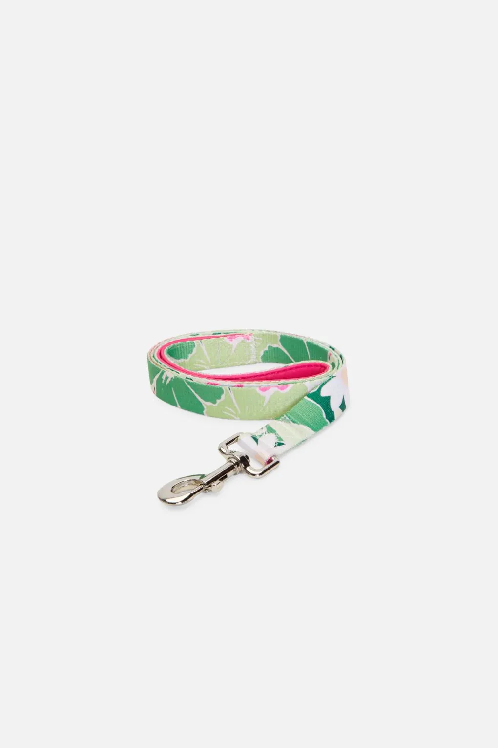 Edie Pet Lead L