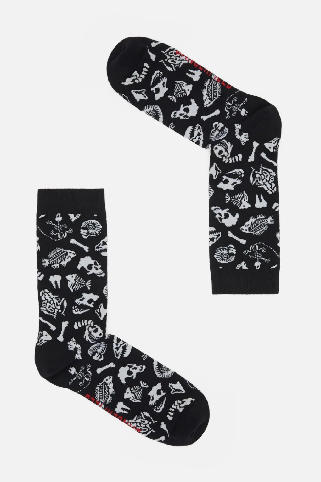 Fossils Sock