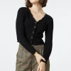 Lola Cardi