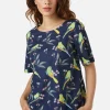 Parrot Top